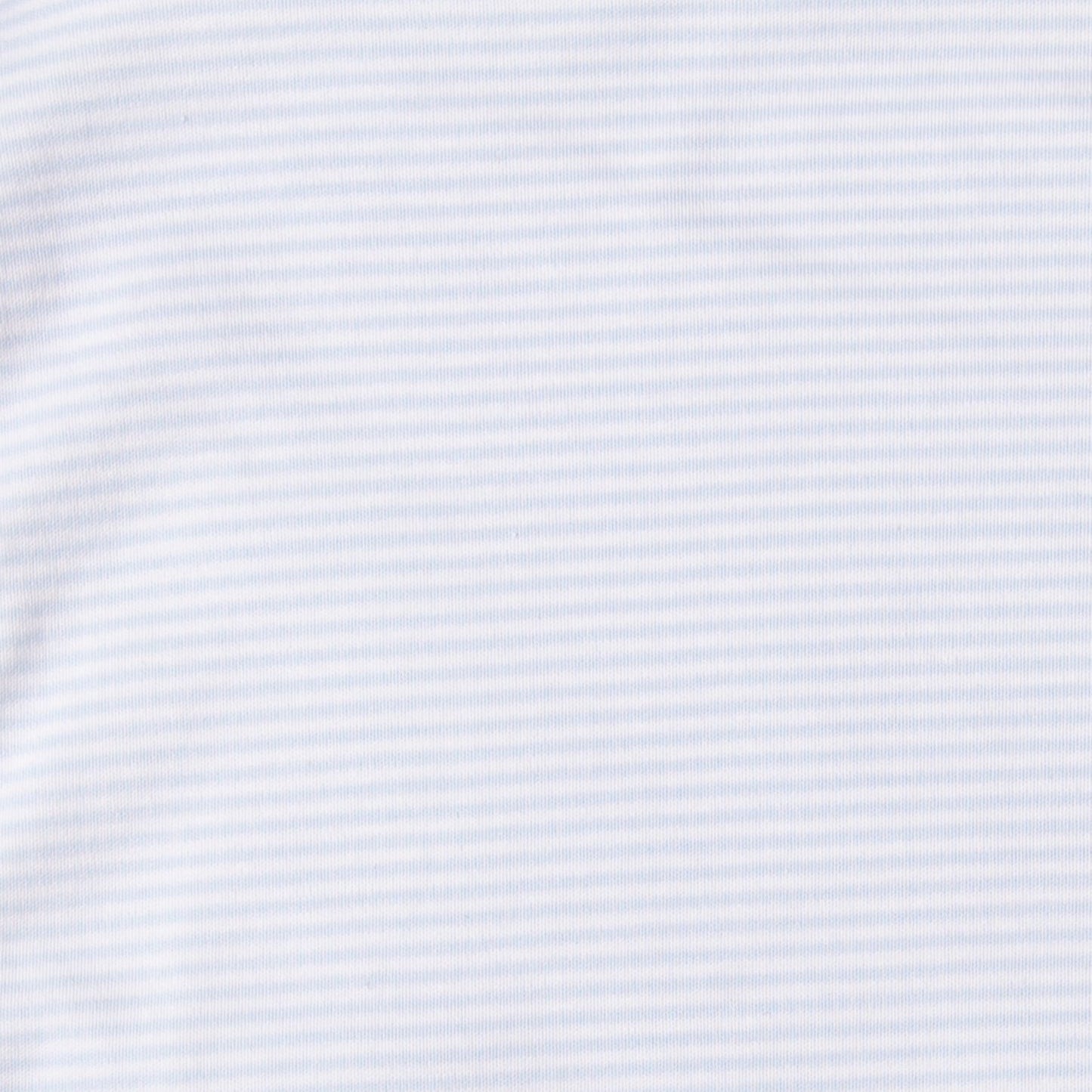 Light blue stripes print