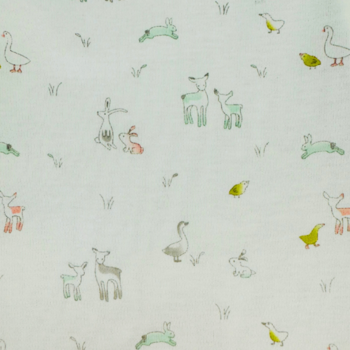 Footie pima cotton pastel ducks
